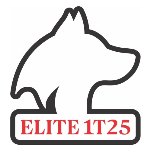 Pin-Latao-MD-0-90-2x3-98pp-Elite-1T25-21-9x23-4mm-Soltas-Loja-Galeria-do-Metal