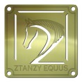 Etiqueta-Latao-MD-0-40-2x3-40pp-Ztanzy-Equus-30mm-Link-Loja-Galeria-do-Metal