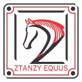 Etiqueta-Latao-MD-0-40-2x3-40pp-Ztanzy-Equus-30mm-Link-Loja-Galeria-do-Metal